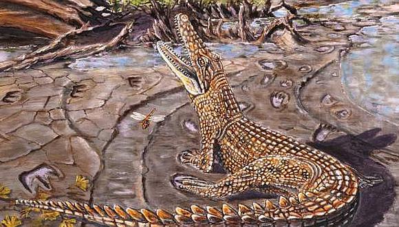 ​Descubren cómo vivían cocodrilos prehistóricos hace 102 millones de años