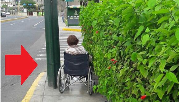 Surco: muro de plantas impide el paso a discapacitados