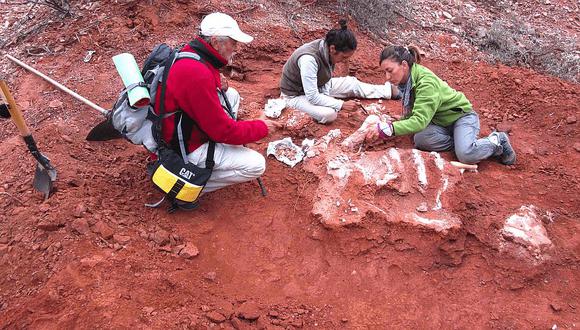 ​Descubren en Argentina dinosaurio gigante de más de 200 millones de años