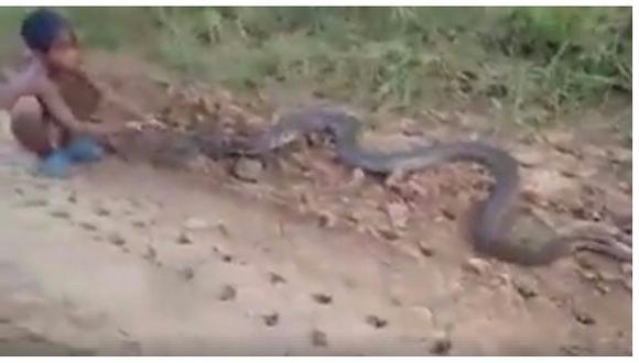 Video de niños cazando serpientes se hace viral en Facebook (VIDEO)
