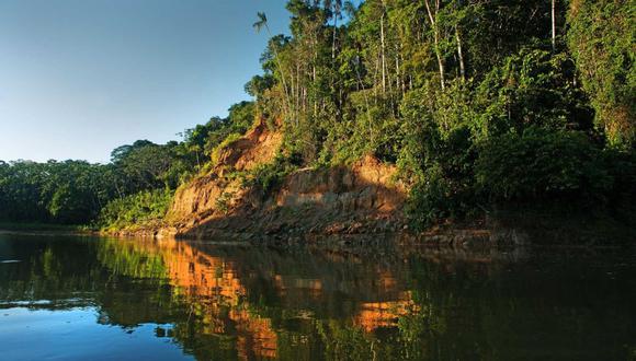 Amazonía: lanzan nuevas herramientas tecnológicas para combatir el cambio climático y la deforestación.