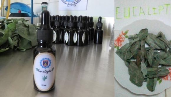 Universidad de Piura producirá frascos con extracto de eucalipto para aliviar síntomas de COVID-19. (Foto: UNP)