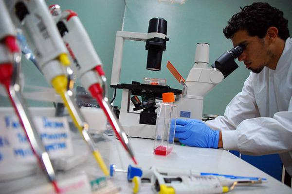 Predicen toxicidad de productos químicos en humanos sin pruebas en animales 