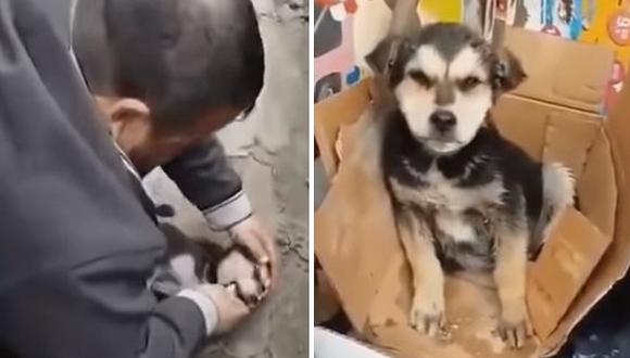 Hombre le da respiración boca a boca a un perrito para salvarle la vida  (VIDEO)