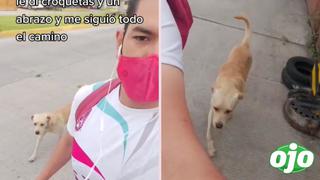 Viral: Corredor alimentó a perrito y él lo siguió durante toda la carrera