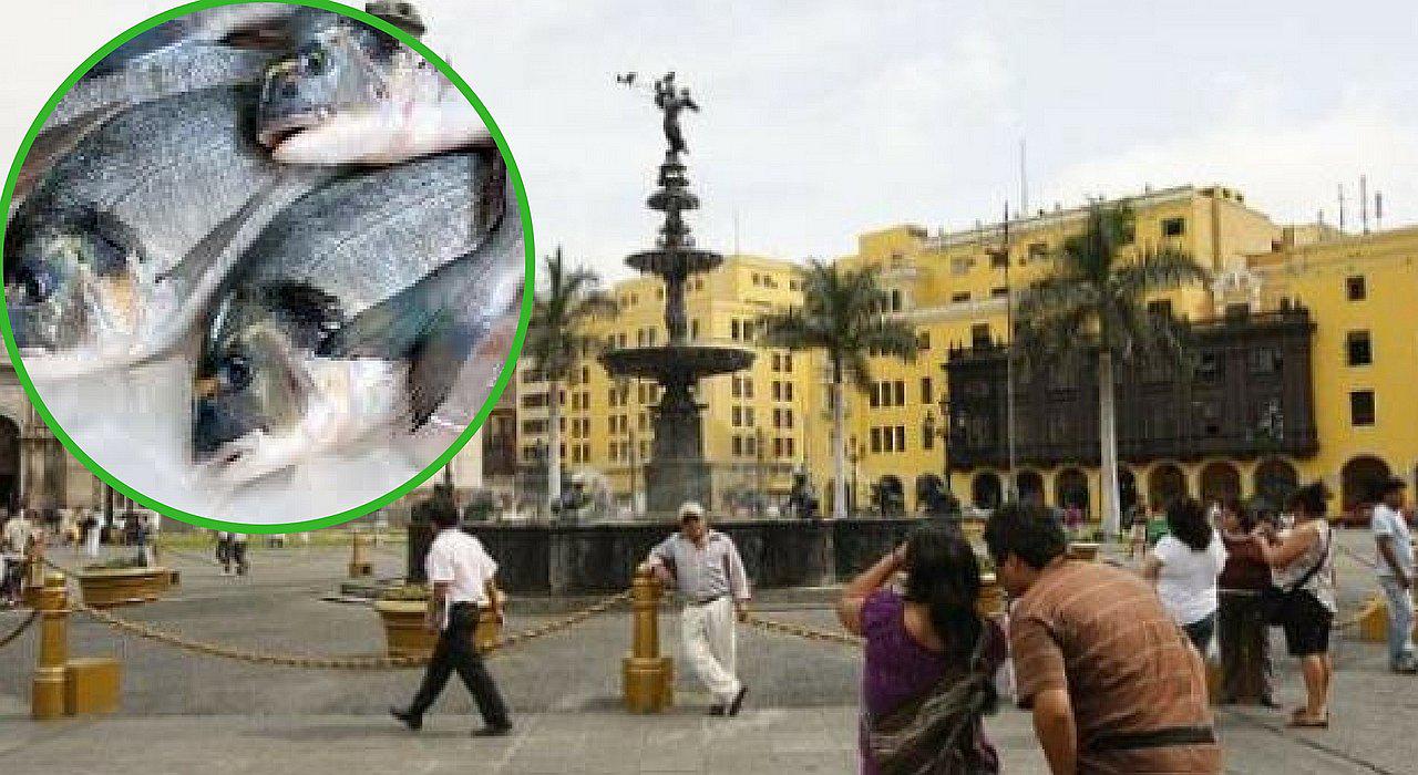 Lima amaneció con un desagradable olor a pescado, ¿te diste cuenta?