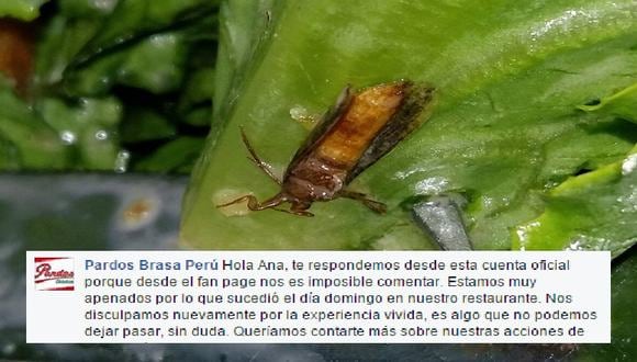 Facebook: Pollería se disculpa por 'cucarachita' en ensalada