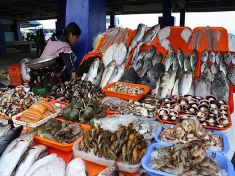 Aumenta en 30% el precio del pescado blanco debido a oleajes [VIDEO] 
