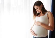 Fecundación in vitro y la inseminación intrauterina son los métodos más usados para vencer la infertilidad en Perú