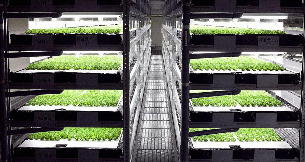 Pondrán en marcha la primera granja operada por robots 