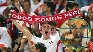 Hincha peruano ayuda a perrita herida en el mundial y hoy la quiere traer a Lima