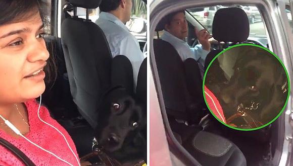 ​Chofer de Uber se niega a llevar a mujer ciega con su perro guía (VIDEO)